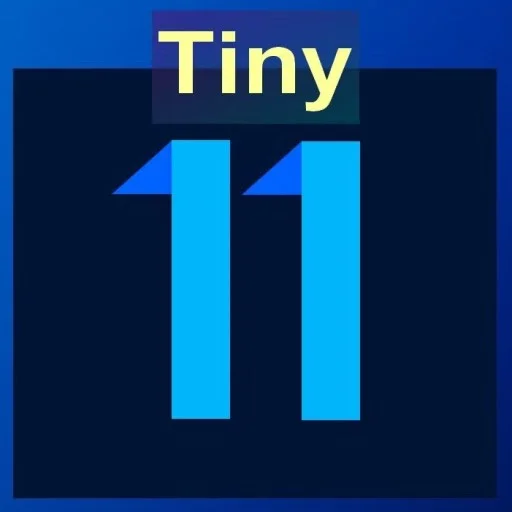 Tiny11