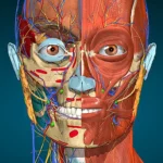 Anatomy Learning Pro